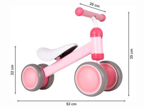 Rowerek Biegowy Treningowy Mini Rower Dla Dzieci Różowy Ecotoys