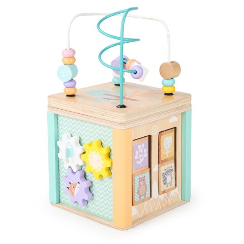 Drewniana Kostka Edukacyjna Sorter Mula Ecotoys