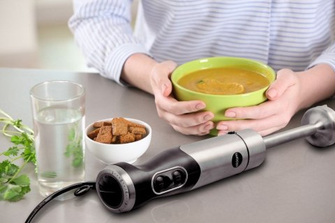Rozdrabniacz Blender Eldom Bl210 Swit