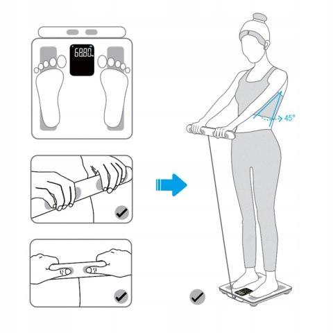 Waga Łazienkowa Analityczna 15 Parametrów Apple Health Google Fit Scala Webber